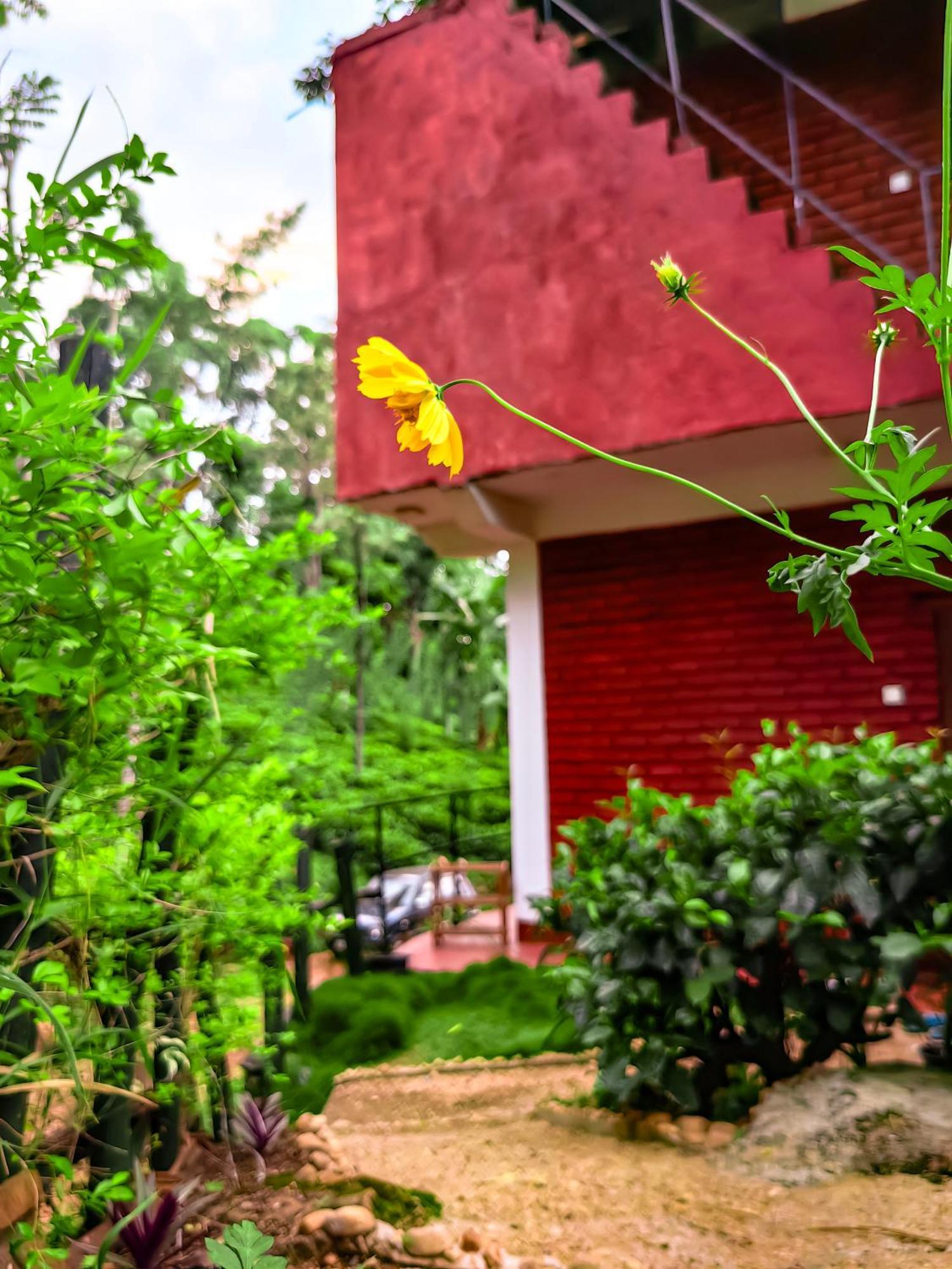 Ella Rock Glance Villa Екстериор снимка